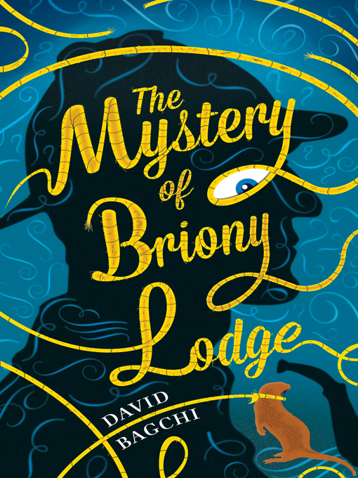 Title details for The Mystery of Briony Lodge by David Bagchi - Available